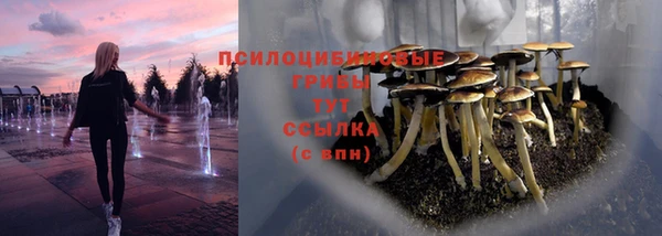 соль ск Алексин
