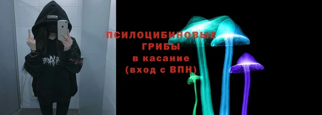 спиды Алзамай