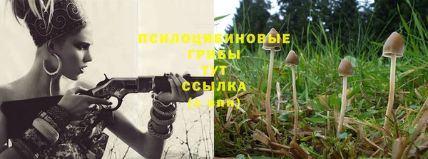 соль ск Алексеевка