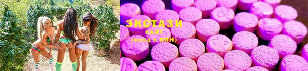 спиды Алзамай