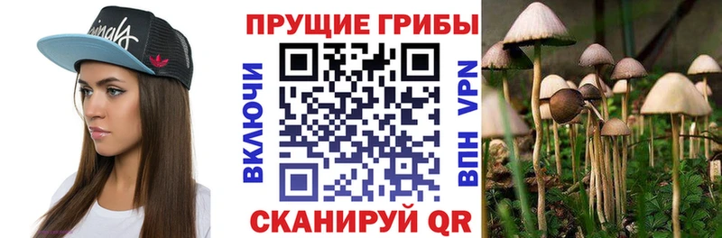 Псилоцибиновые грибы MAGIC MUSHROOMS  где купить наркотик  Волгоград 